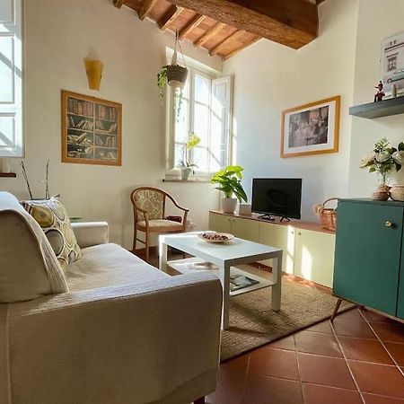 Casa Luisa - Mura Di Lucca Esterno foto