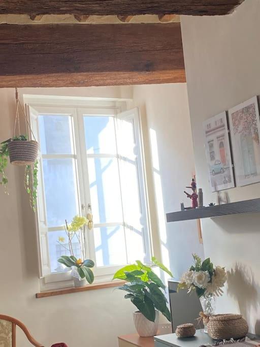 Casa Luisa - Mura Di Lucca Esterno foto